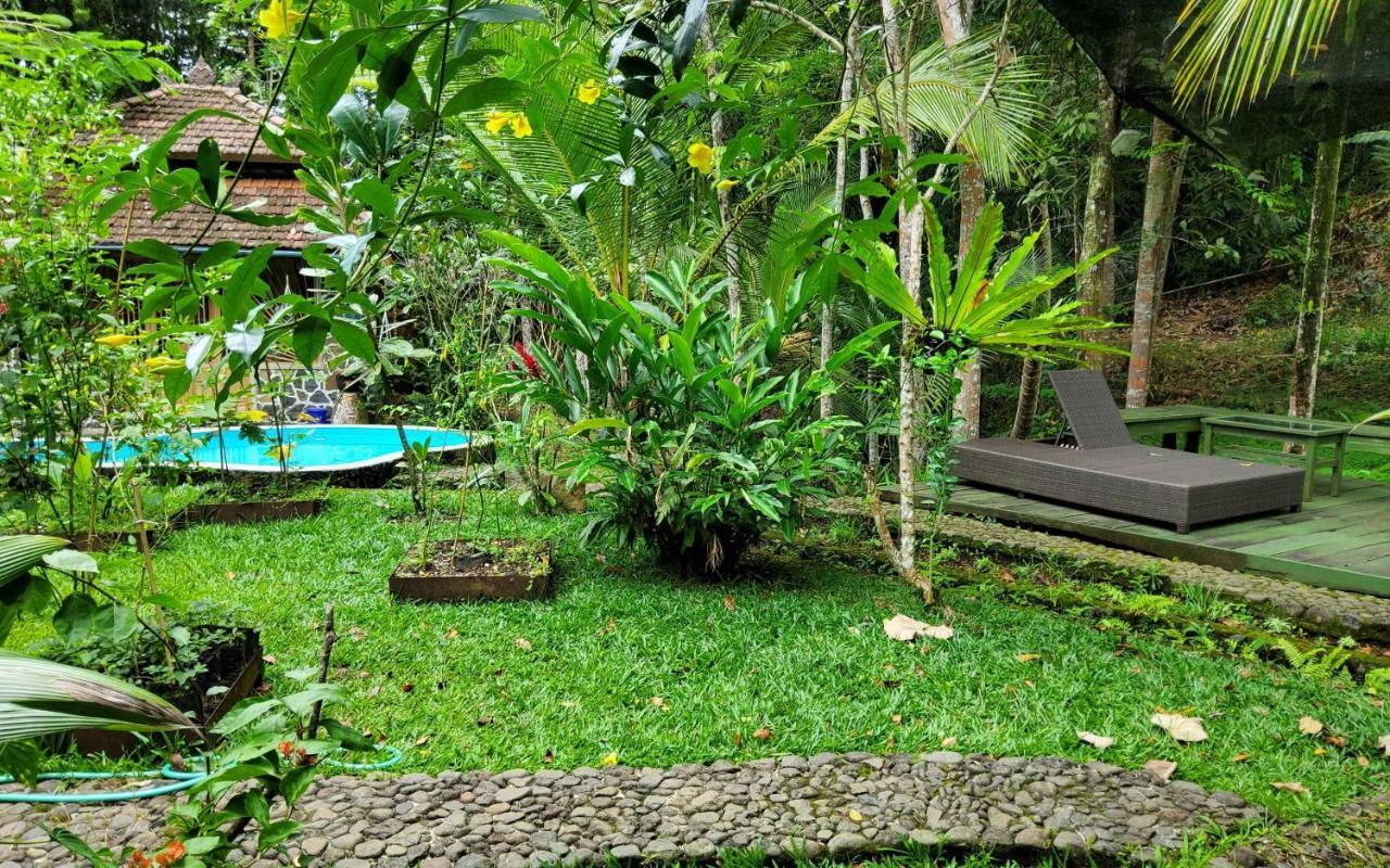 Hotel Mi Casa - The Gem Of Ijen Banyuwangi  Exteriér fotografie