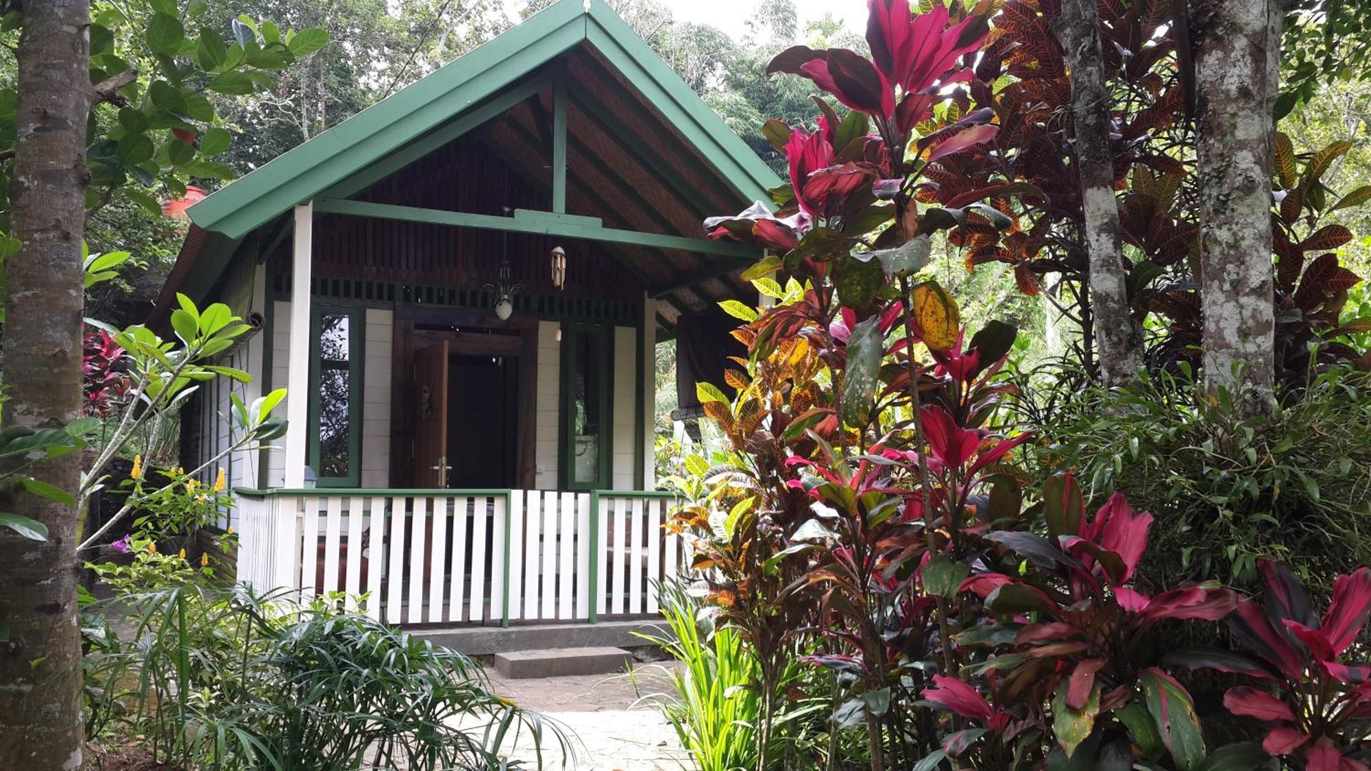 Hotel Mi Casa - The Gem Of Ijen Banyuwangi  Exteriér fotografie