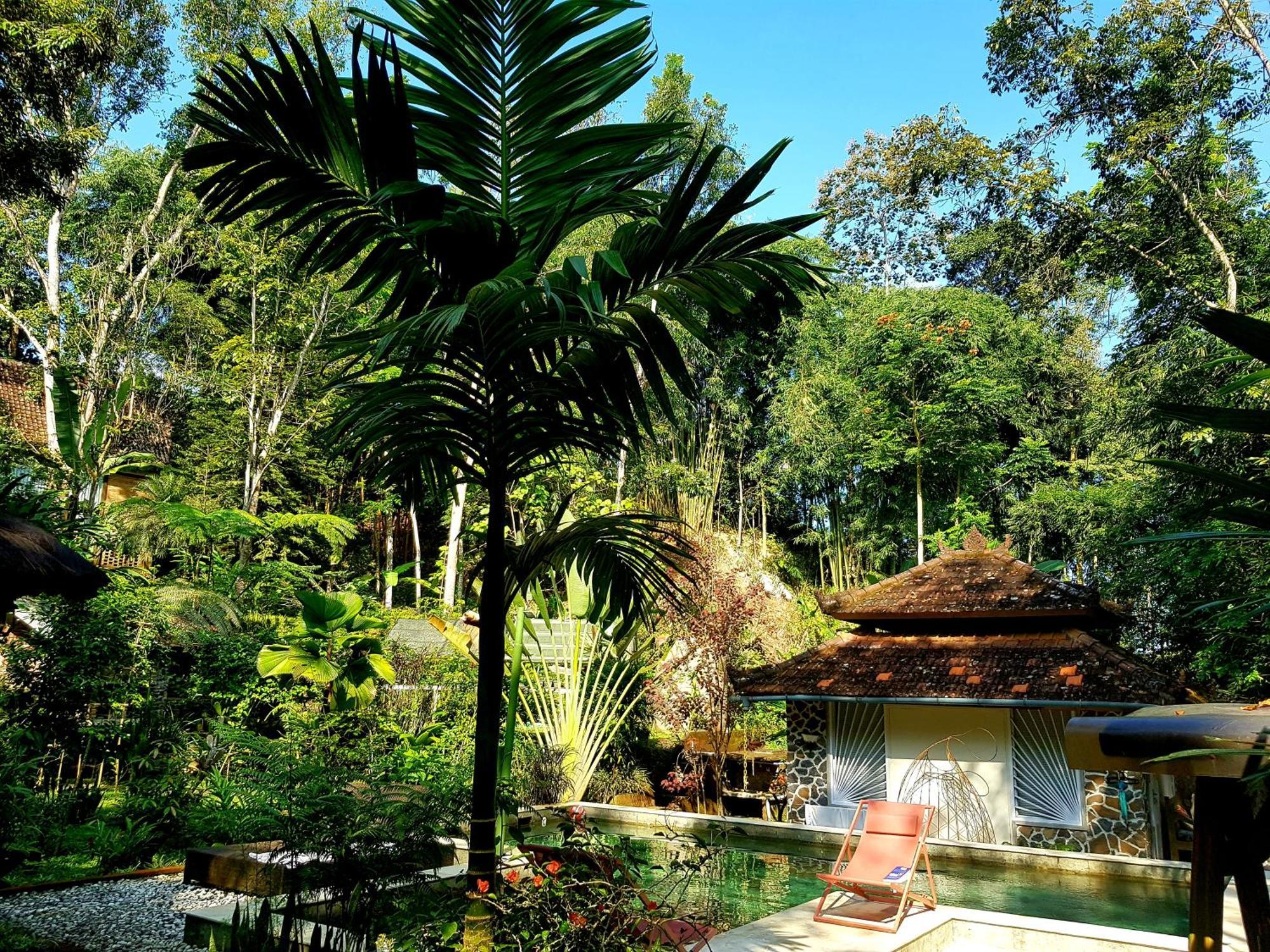 Hotel Mi Casa - The Gem Of Ijen Banyuwangi  Exteriér fotografie