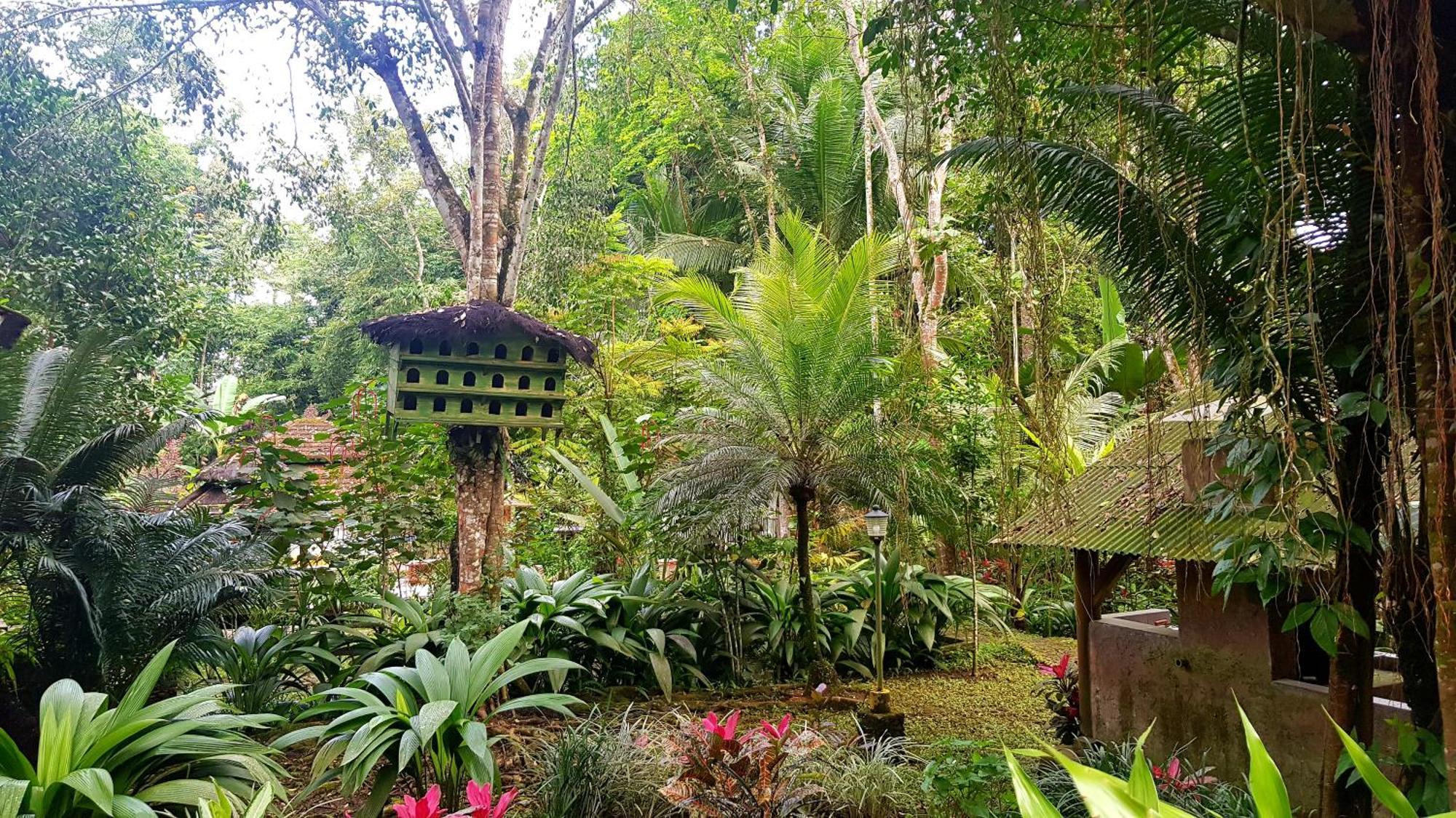 Hotel Mi Casa - The Gem Of Ijen Banyuwangi  Exteriér fotografie