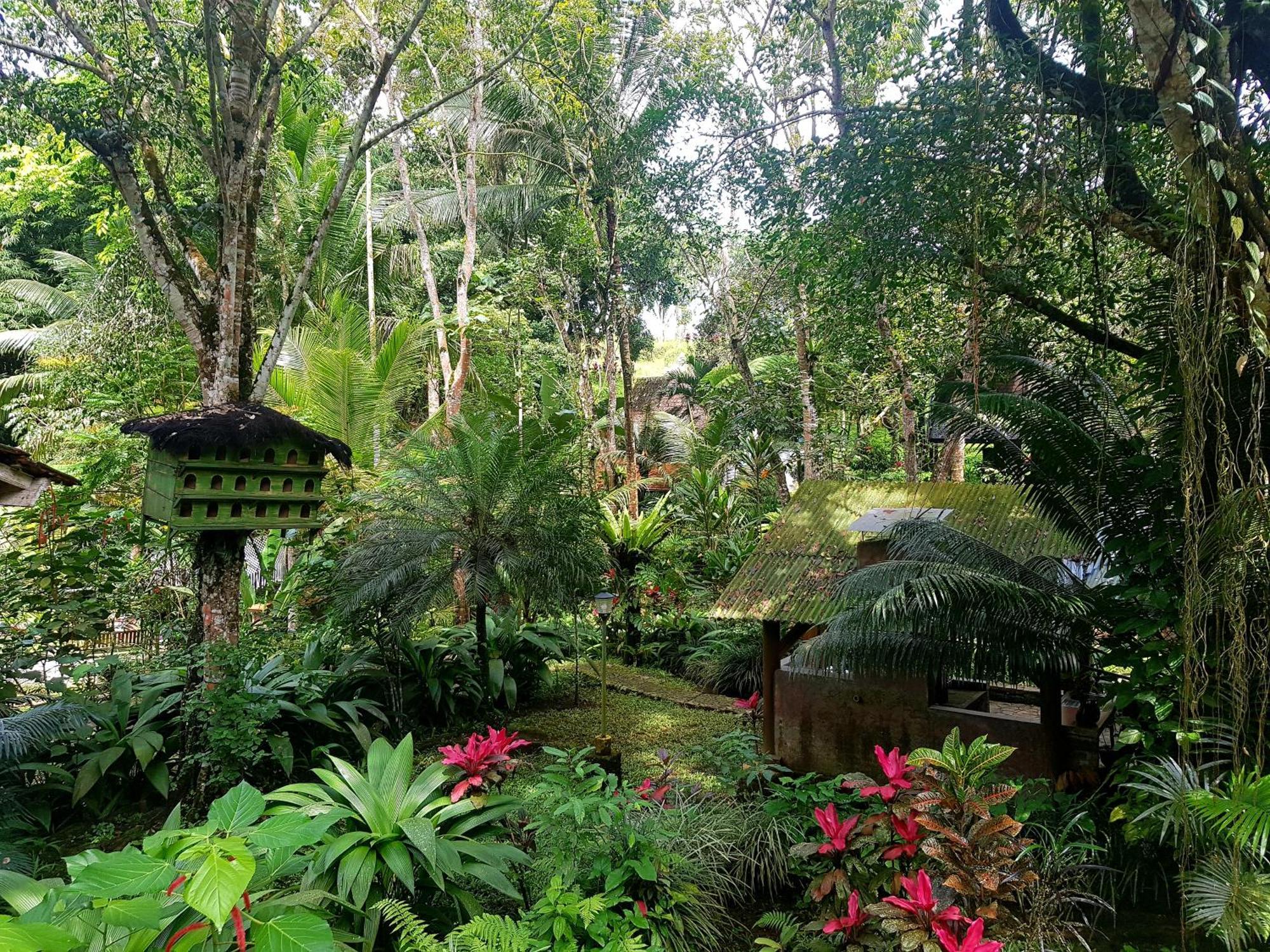 Hotel Mi Casa - The Gem Of Ijen Banyuwangi  Exteriér fotografie