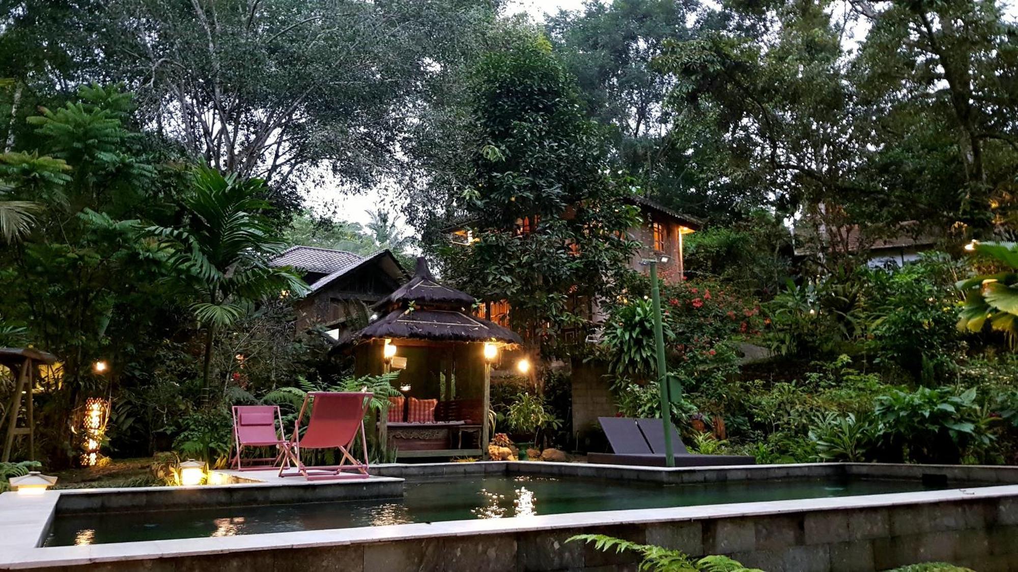 Hotel Mi Casa - The Gem Of Ijen Banyuwangi  Exteriér fotografie